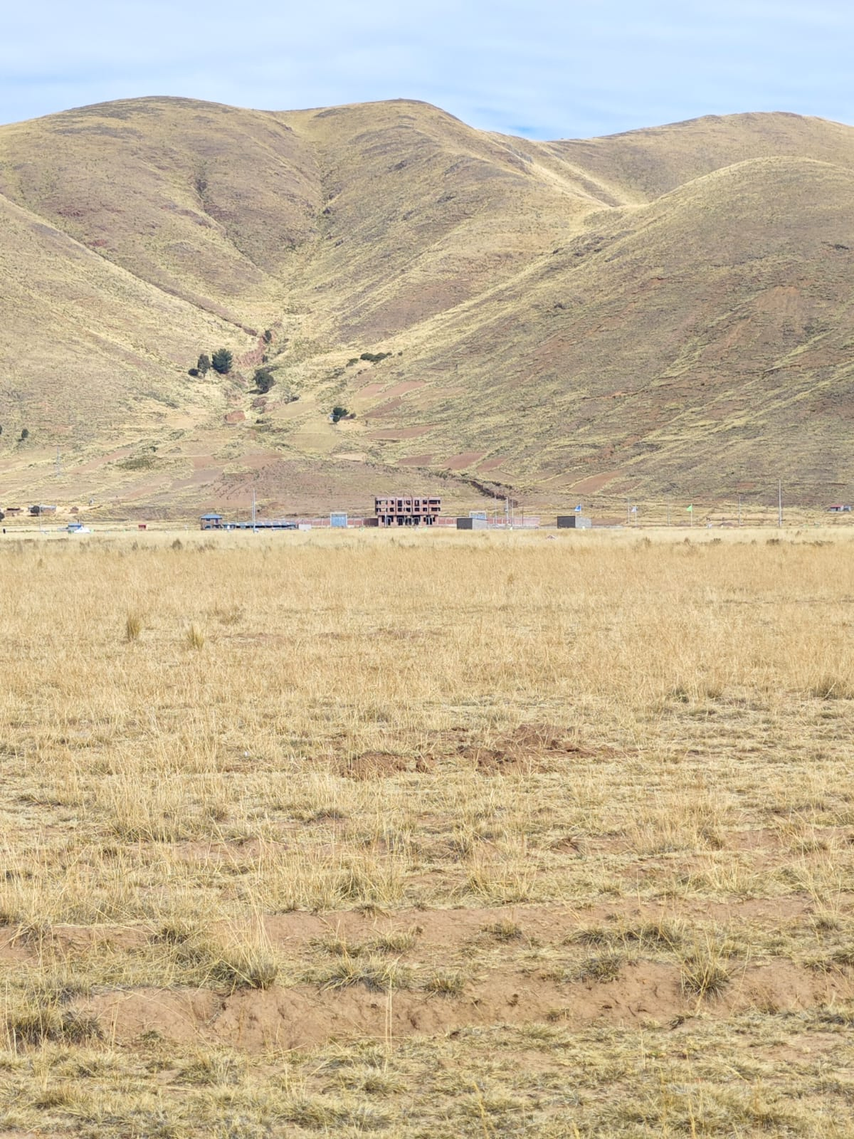LOTES EN CHINGORA — Foto 5