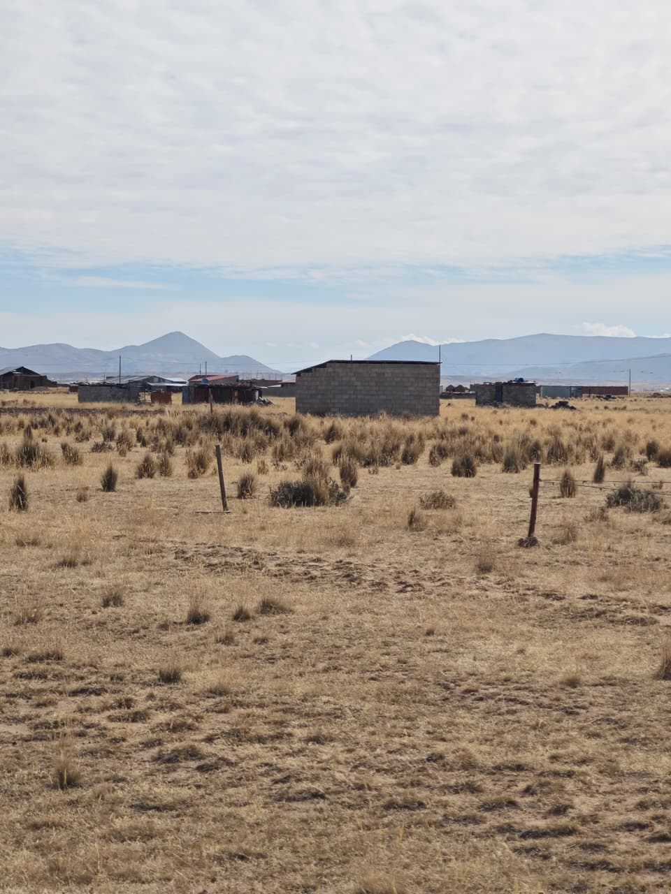 LOTES EN CHINGORA — Foto 2