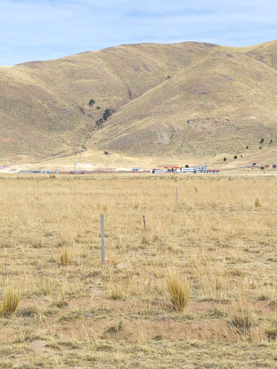 LOTES EN CHIGORA — Foto 4