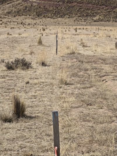 LOTES EN CHIGORA — Foto 3