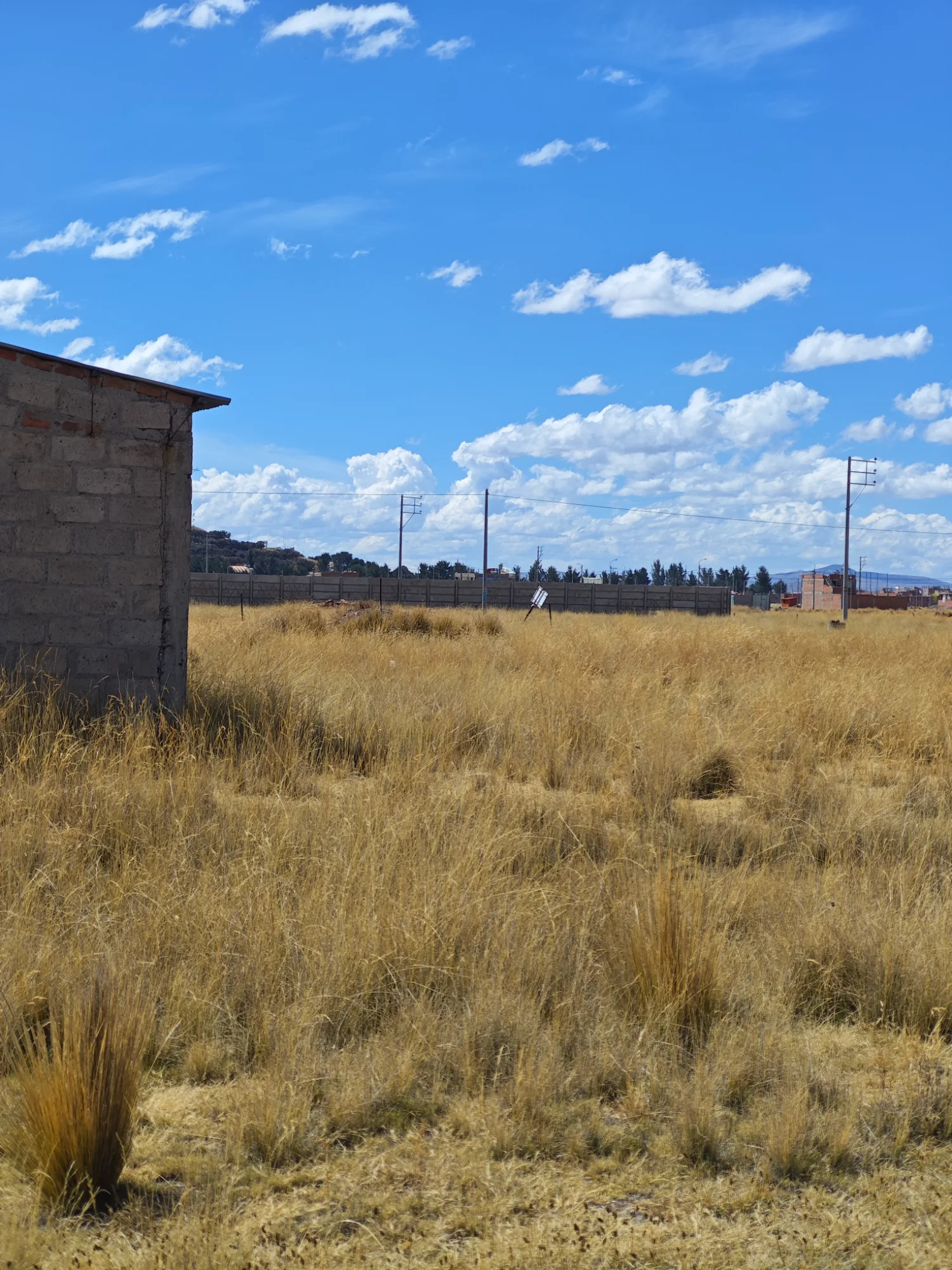 2 TERRENOS DE 250 M² — Foto 3