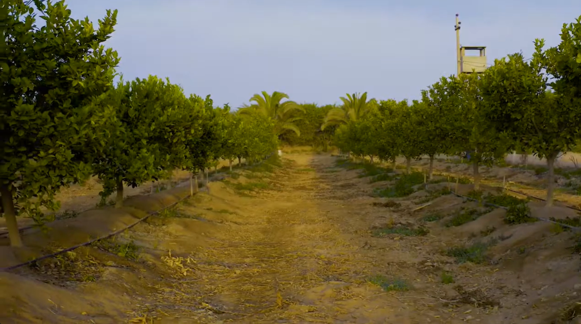 ¡Oportunidad Única! Lote de Campo en Buganvilla Glamping — Foto 3