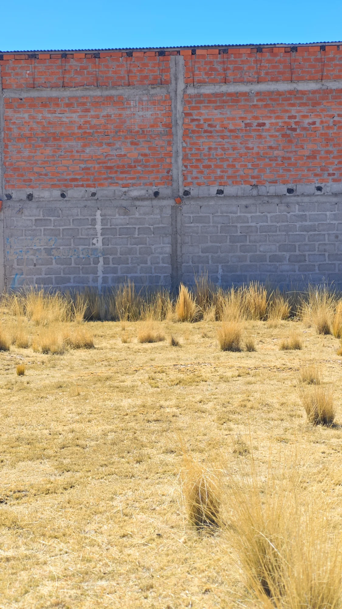 terreno de 160m2 a media cuadra de la autopista JULIACA. HUANCANE — Foto 4