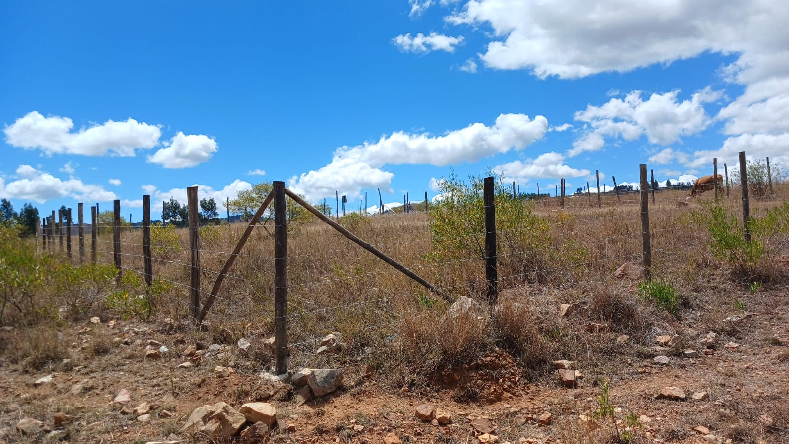 TERRENO EN VENTA | OPORTUNIDAD PARA INVERTIR O CONSTRUIR — Foto 2