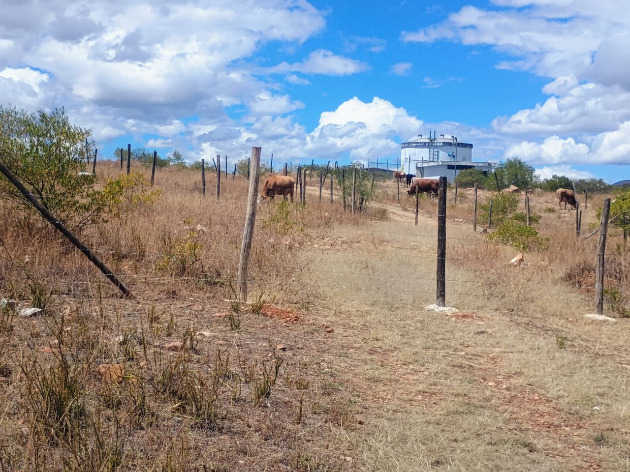 TERRENO EN VENTA | OPORTUNIDAD PARA INVERTIR O CONSTRUIR — Foto 3