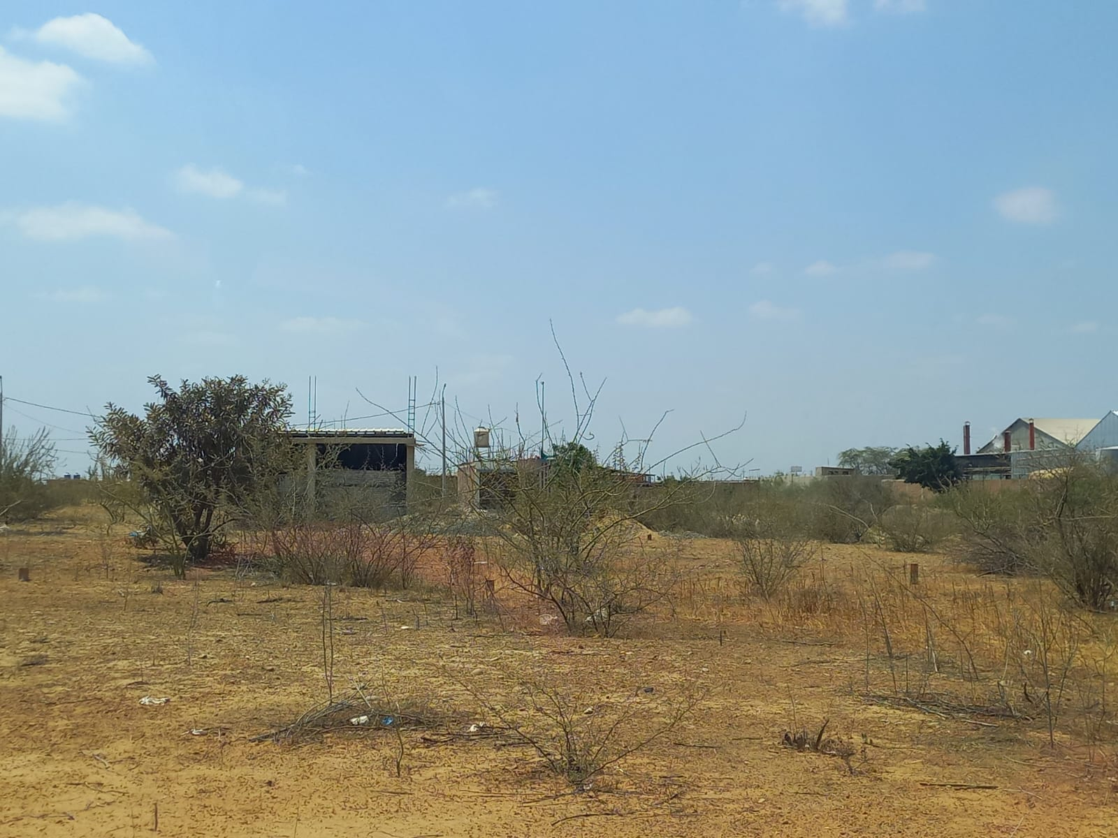 Vendo Terreno 360 m² en ADUS Sullana – 18 m de frente salida directa a la Panamericana — Foto 6