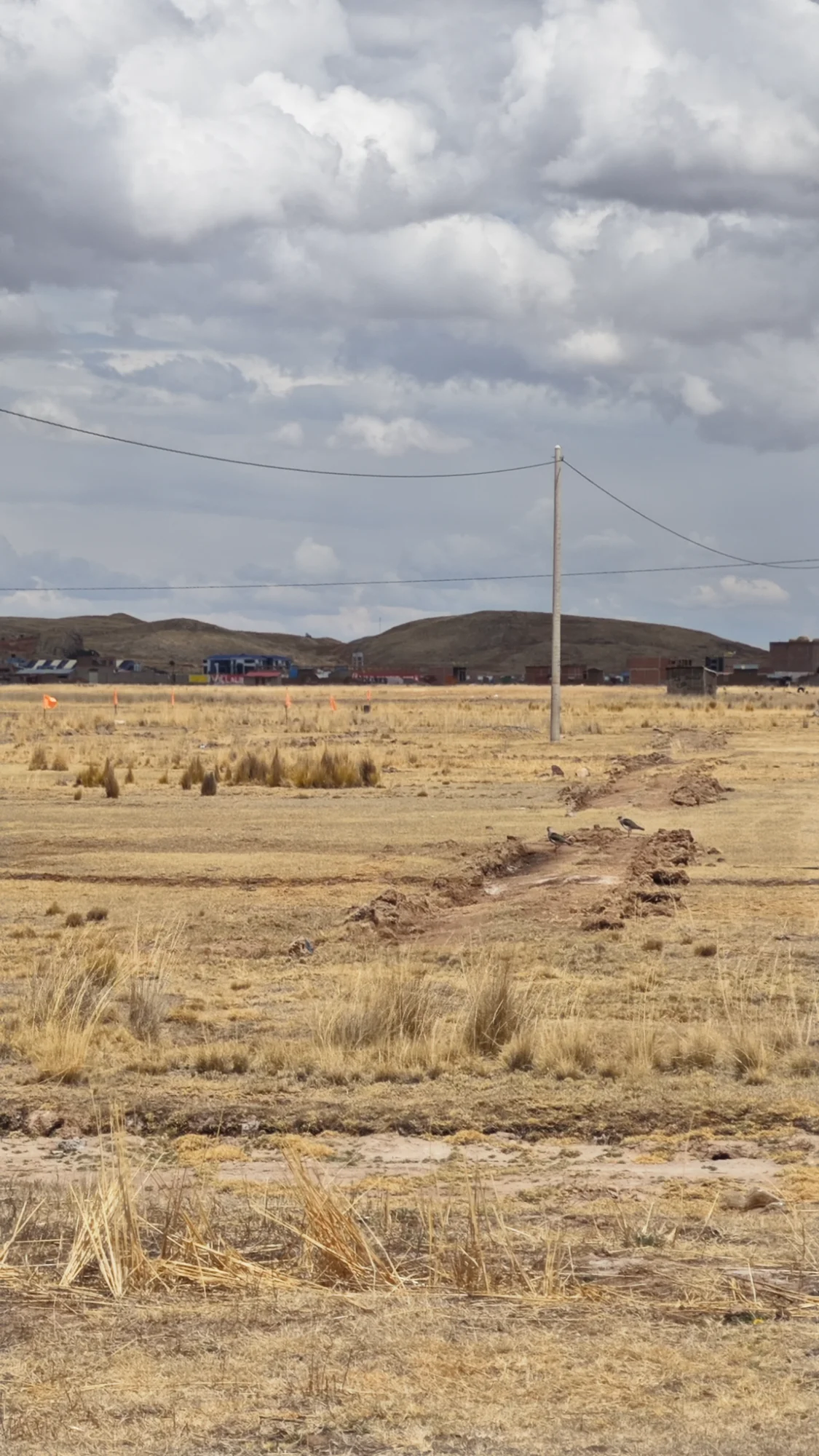 Lotes de 160m2 pasando la universidad nacional de Juliaca, con acceso a electrificación — Foto 2