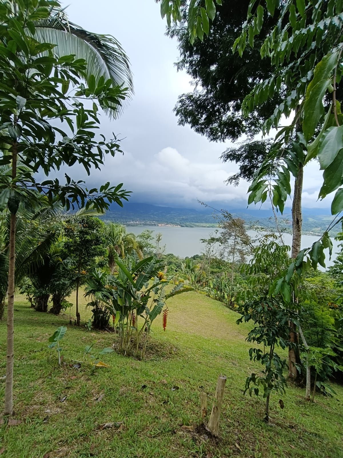 Terreno de 3.5 hectáreas con vista panorámica hacia la laguna azul — Foto 3