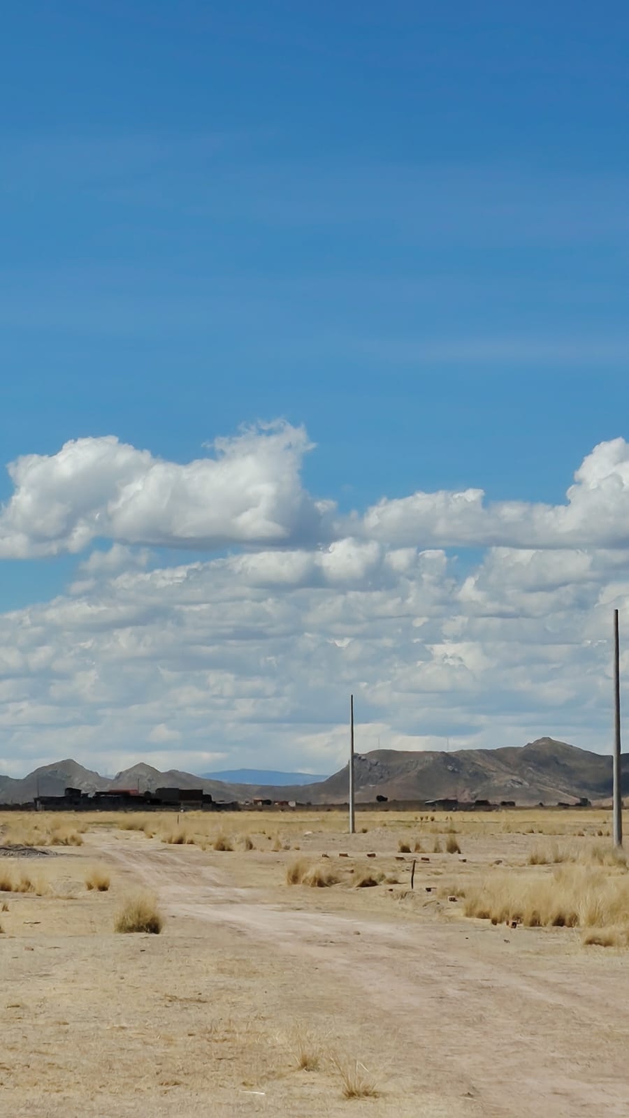 5 hectáreas cerca a la autopista Caracoto- Huata — Foto 4